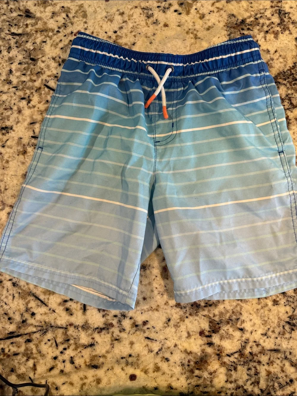 Cat & Jack Blue and White Boys Swim Shorts